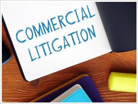 2025.06-TellerLevit-WebsiteImages-Page2-CompanyThroughCommercialLitigation-451×341